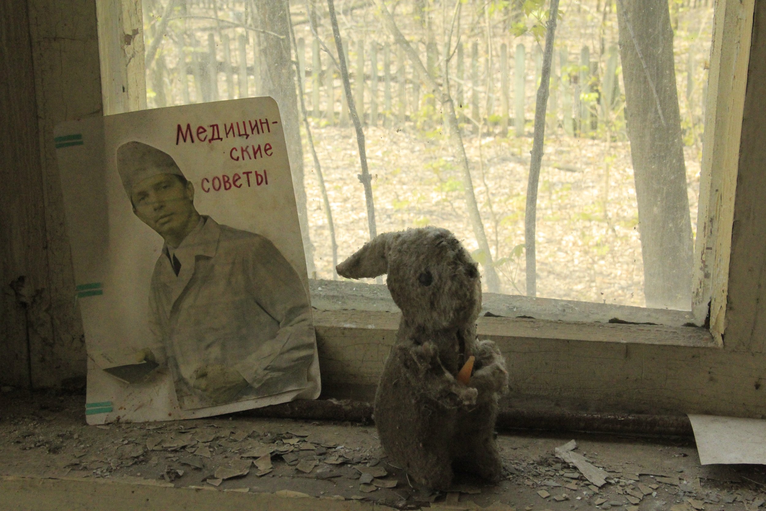 Люди и животные в Чернобыле