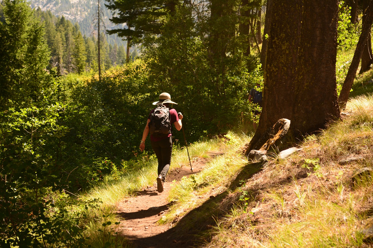 Tinkle girl goes forest hiking spreads