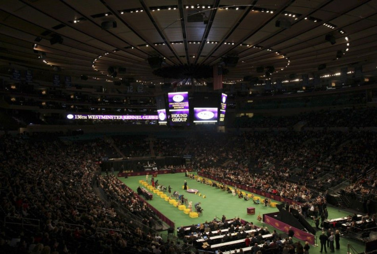 Westminster Dog Show 2012