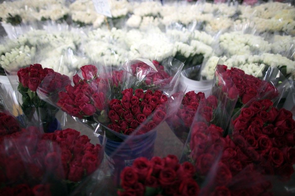 Demand for Valentines Day Rose Soar in the US, 90 Percent Imported 
