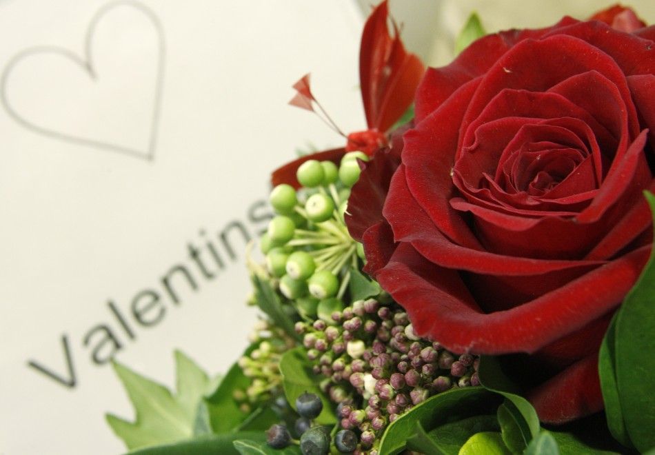 Demand for Valentines Day Rose Soar in the US, 90 Percent Imported 