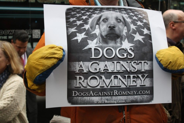 Dogs Against Romney