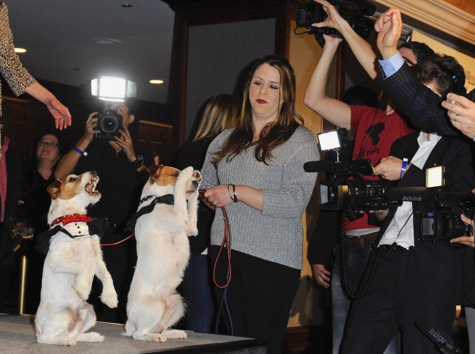 Uggie L from the movie quotThe Artistquot and his understudy Dash pose for photographers at the first annual Golden Collar Awards celebrating Hollywoods most talented canine thespians from Oscar nominated films and Emmy Award winning television sho