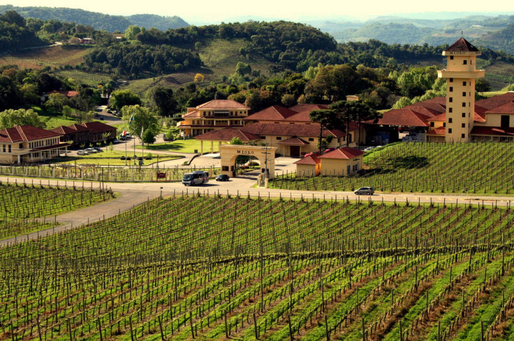 Vale Dos Vinhedos, Brazil