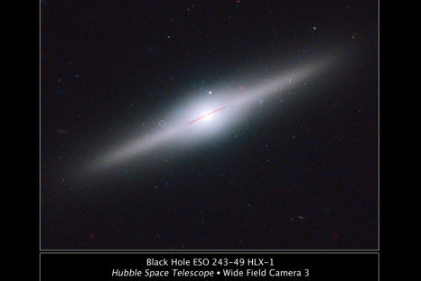 Intermediate-Mass Black Hole Shreds Galaxy as it Forms