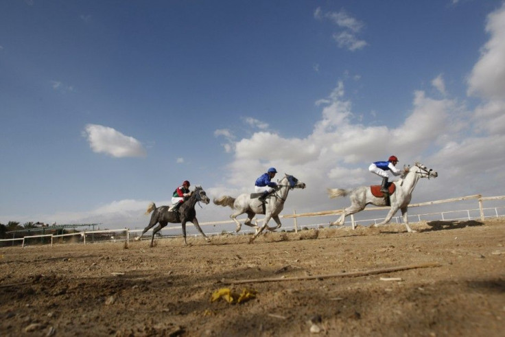 Palestinian jockeys ride Arabian horses in the Palestinian championships at an equestrian club in Jericho