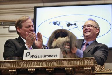 Malachy, winner of the Best-in-Show honor at the 136th Westminster Kennel Club Dog Show -- and owner David Fitzpatrick, right -- ring the opening bell at the New York Stock Exchange on Thursday.
