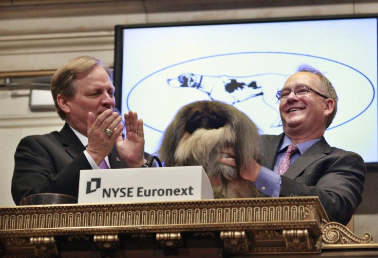 Malachy, winner of the Best-in-Show honor at the 136th Westminster Kennel Club Dog Show -- and owner David Fitzpatrick, right -- ring the opening bell at the New York Stock Exchange on Thursday.