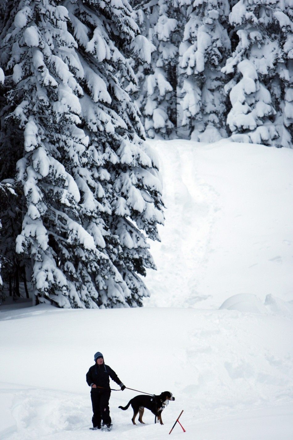 Winter 2012 Snap Avalanche Kills Three Skiers in Washington