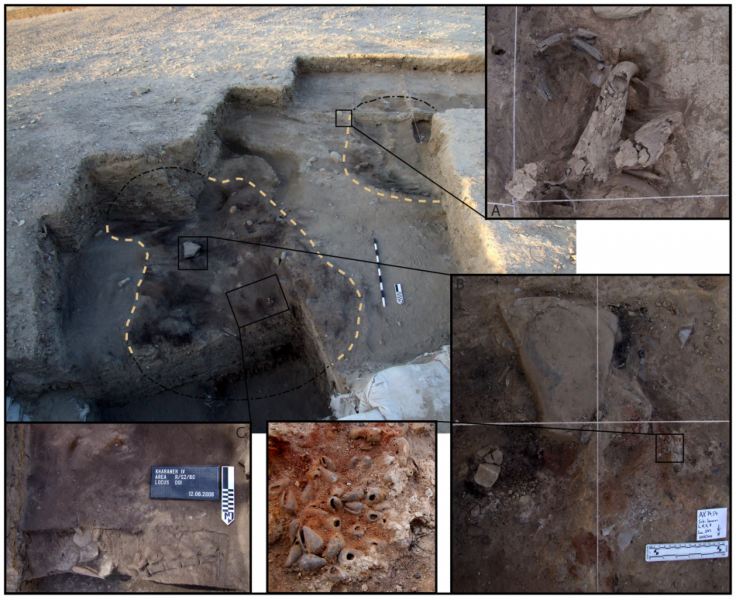 Structural remains of two prehistoric huts found in eastern Jordan provide new insights into how humans lived 20,000 years ago. Photo Credit: Lisa A. Maher, Department of Anthropology, University of California