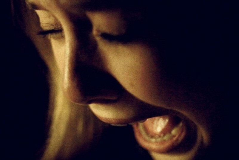 Silent House