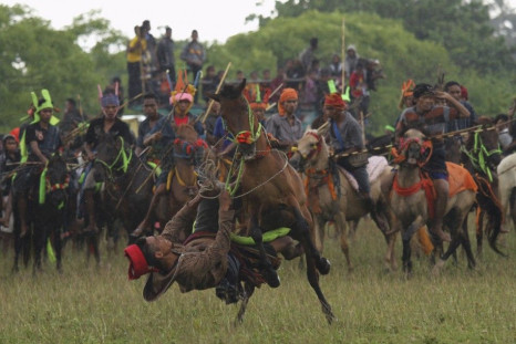 Ancient War Game Pasola Festival in Indonesia Seeks Blessings for Good Harvest 