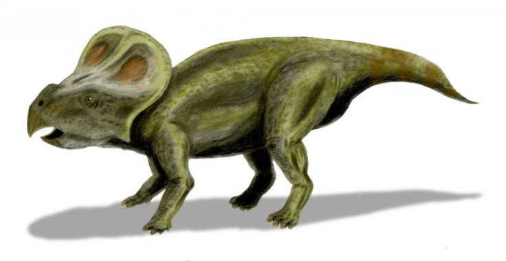 protoceratops_new