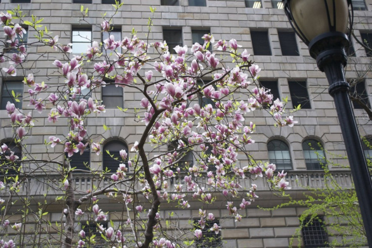 View of New York Federal Reserve Bank from Maiden Lane