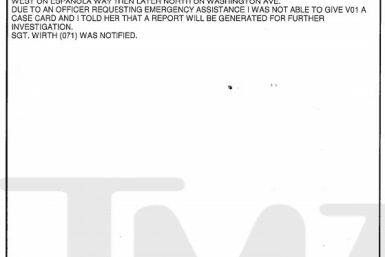 Chris Brown alleged phone robbery police report page 2