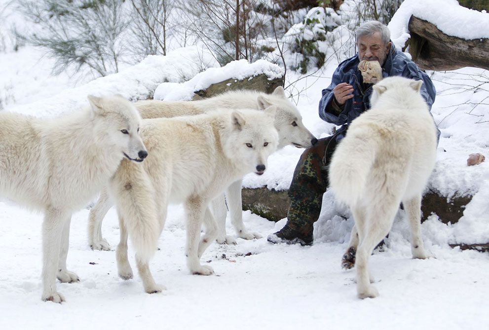 Meet The Wolf Man German Researcher Werner Freund 