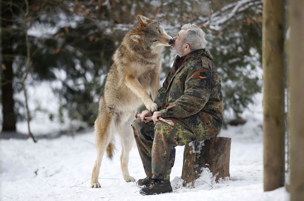 Meet The Wolf Man German Researcher Werner Freund 