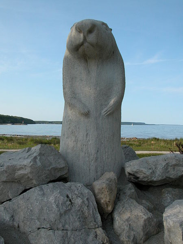 Wiarton Willie groundhog statue