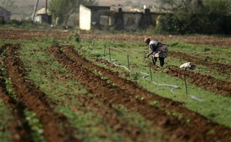 South African farm worker