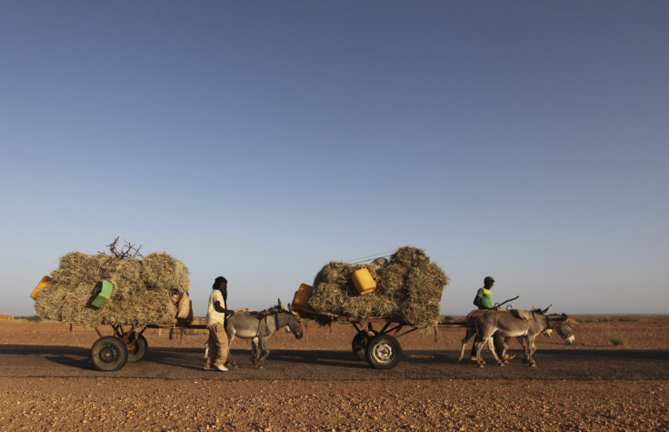 Agadez Farmers