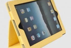 Apple New iPad Case 