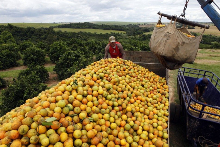 Brazil economy oranges