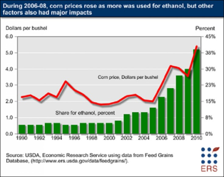 corn price up