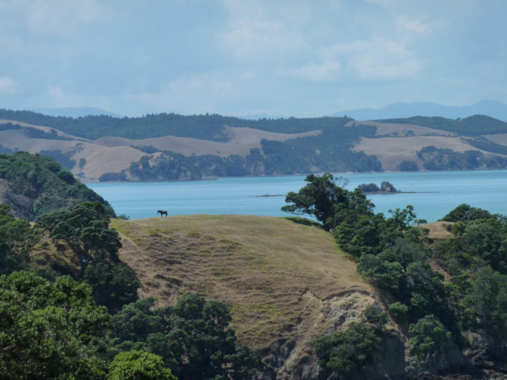 Waiheke Island, New Zealand