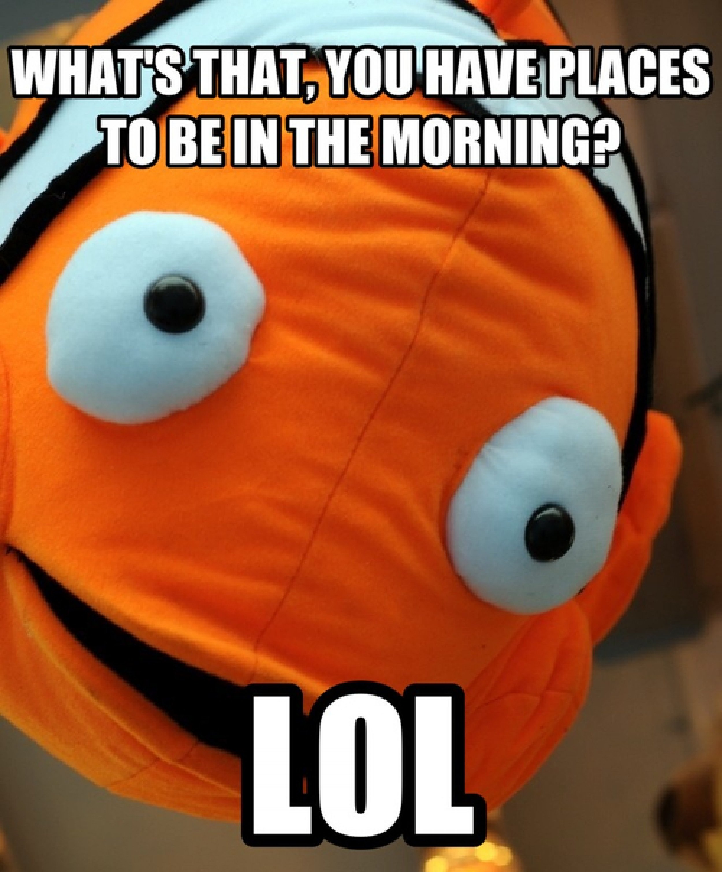 The Best Nemo Memes Memedroid - vrogue.co