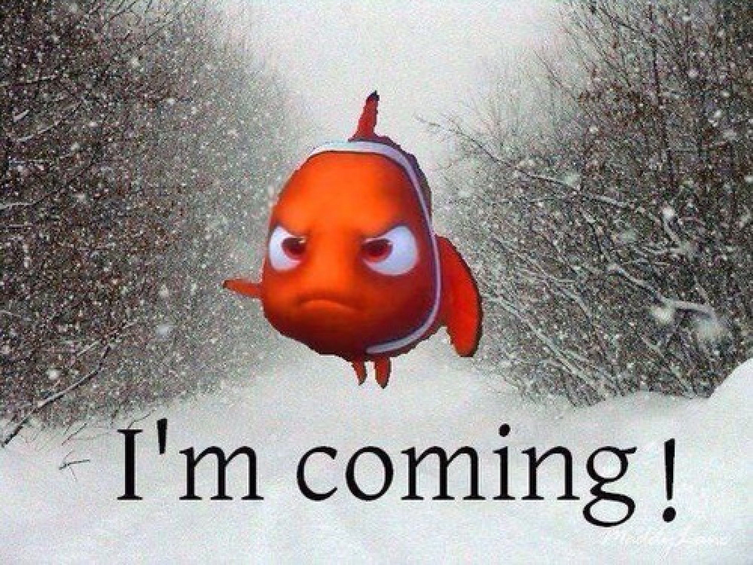 Winter Storm Nemo