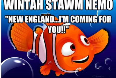 Winter Storm Nemo Meme 