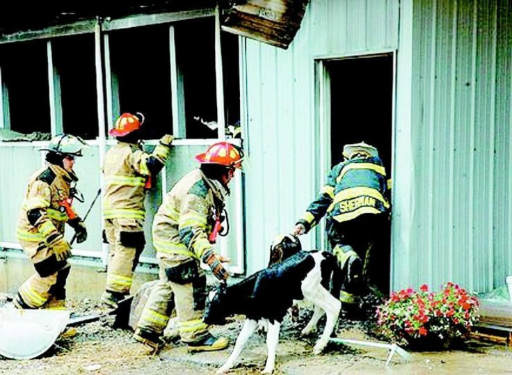 Firefighters Battle Barn Fire, Then Parasitic Outbreak
