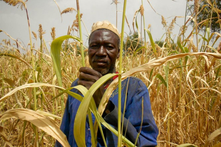 A farmer in Burkina Faso.