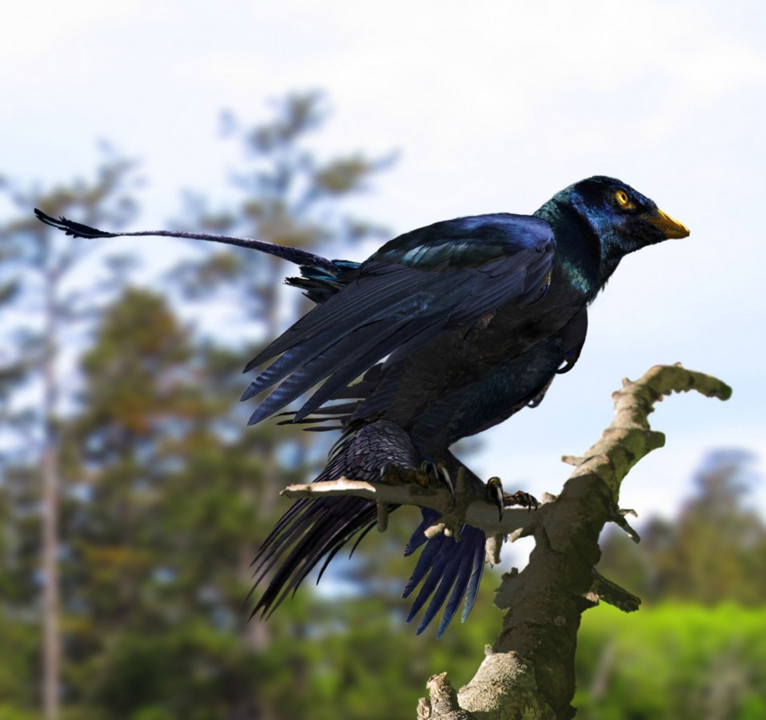 Shiny Dinosaur Feather Revealed, Iridescent Plumage Evolved to Attract Mates