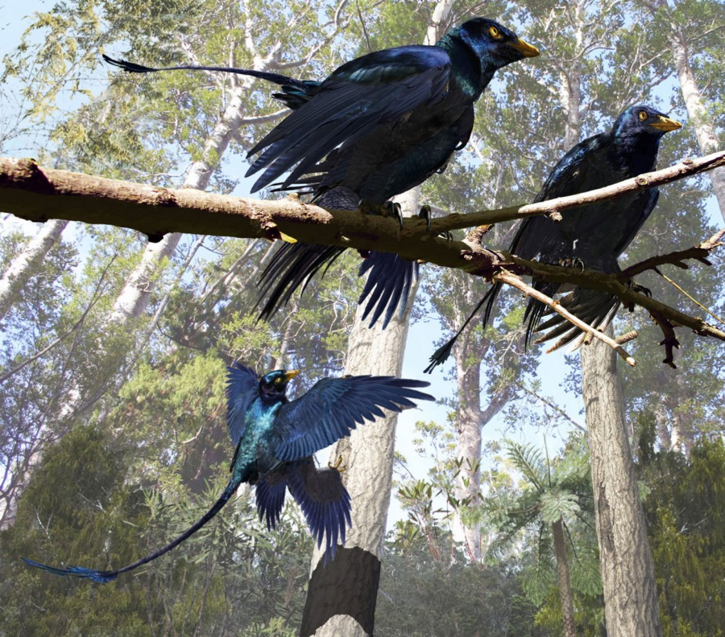 Shiny Dinosaur Feather Revealed, Iridescent Dinosaur Plumage Evolved to Attract Mates