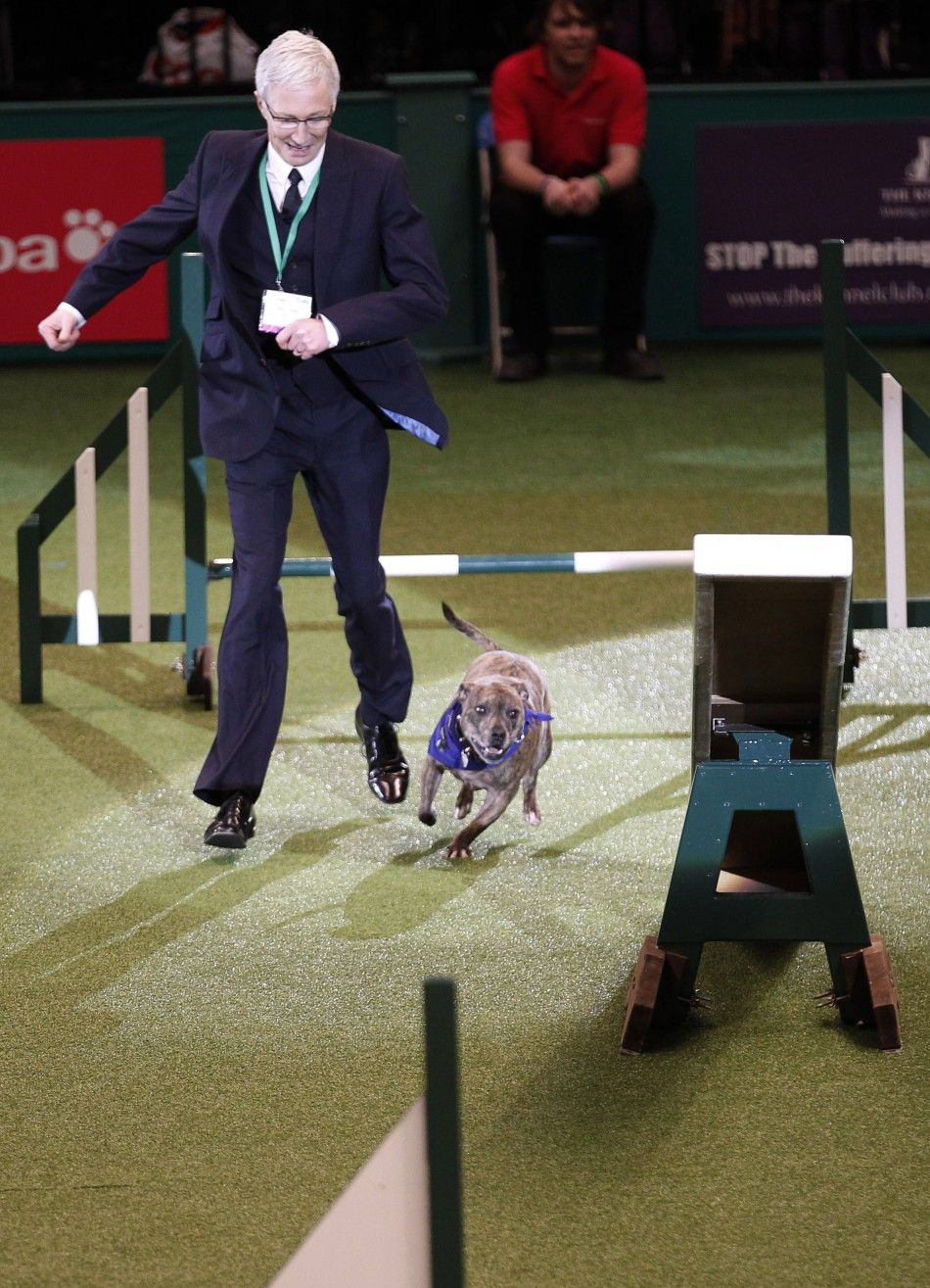  British television personality OGrady leads a Staffordshire Bull Terrier through an obstacle course at the Crufts dog show in Birmingham