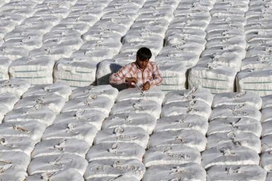 A trader checks stacked boxes of cotton inside a cotton processing unit at Kadi
