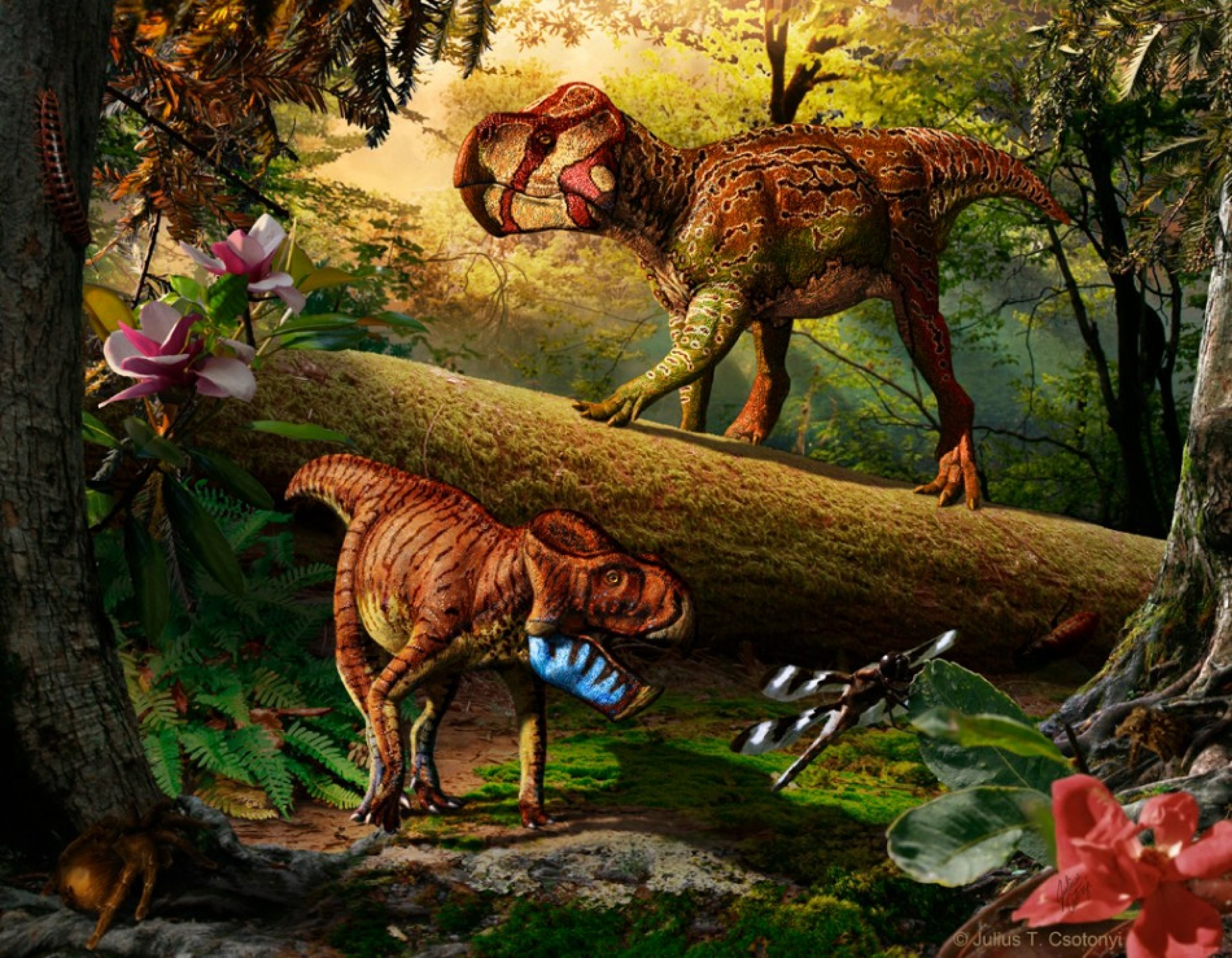 Fossils of Two New Herbivorous Horned Dinosaurs Identified 
