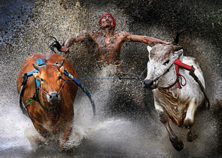 World Press Photo Awards 2013 - Sports Action - Indonesia