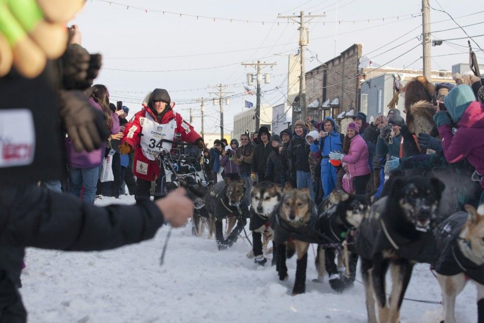 Musher Seavey runs his dogs to the finish line, winning the 40th annual Iditarod Trail Sled Dog Race in Nome, Alaska