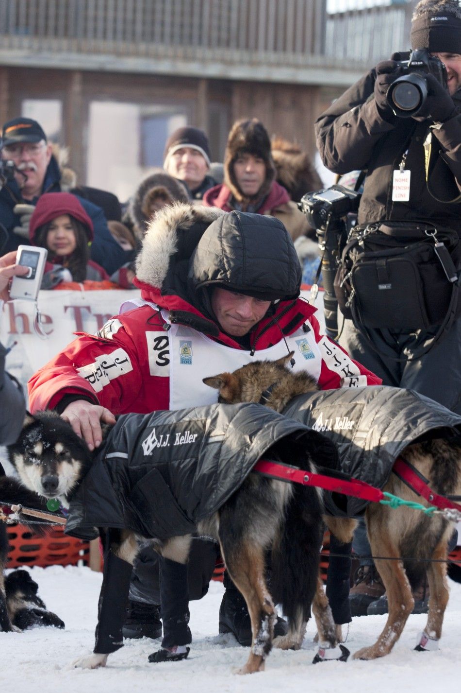 Musher Seavey pets dogs at the 40th annual Iditarod Trail Sled Dog Race in Nome, Alaska