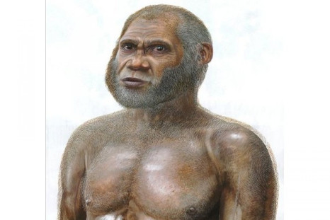 Concept image of &#039;Red Deer Cave people&#039;