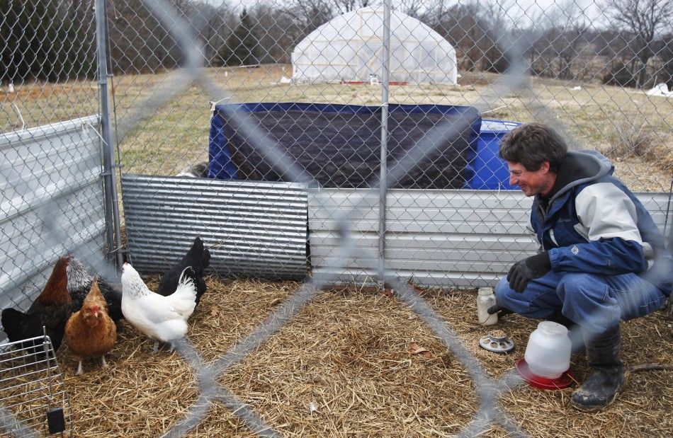 L.I. Eye: Long Island Village Board Foils Chicken Coup | IBTimes