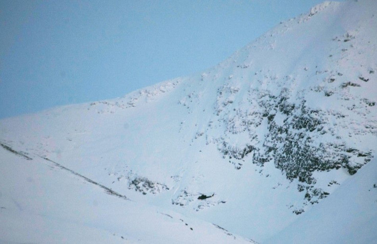 A helicopter searches a mountain area where an avalanche is reported, in Kafjord