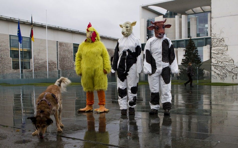 Animal Rights Protests In 2012
