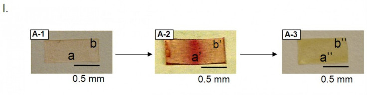 New Plastic Heals Like Human Skin When Scratched