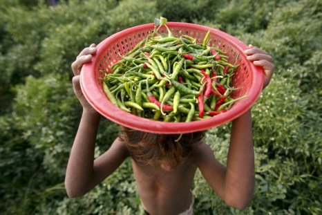 Chili Peppers May Lower Cholesterol And Improve Blood Flow
