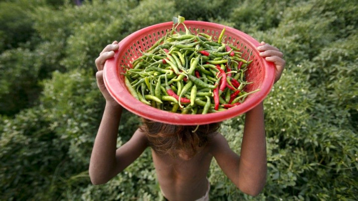 Chili Peppers May Lower Cholesterol And Improve Blood Flow