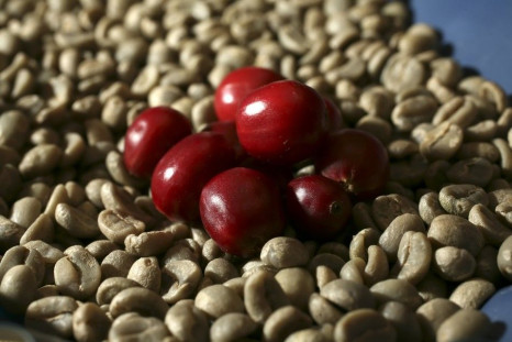 Unroasted Coffee Extract May Help You Lose Weight