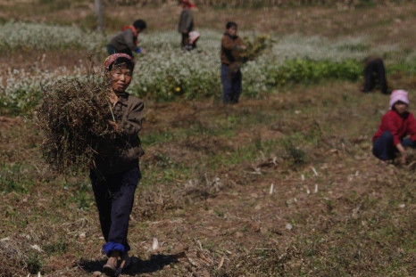 North Korea relies on food aid to feed its population